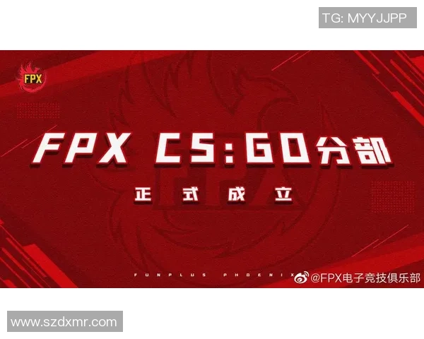 FPX在CSGO赛事中的运营策略分析与成败得失探讨
