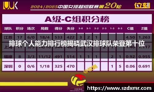 排球个人能力排行榜揭晓武汉排球队荣登第十位